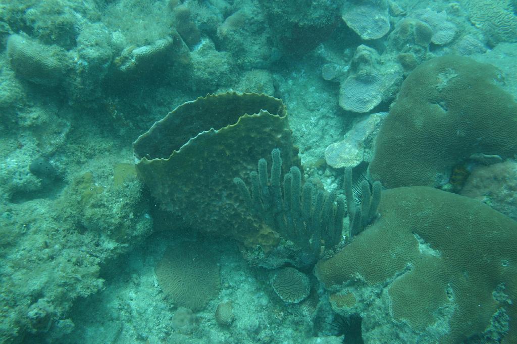 2008-05-17 17-04-35 H.JPG